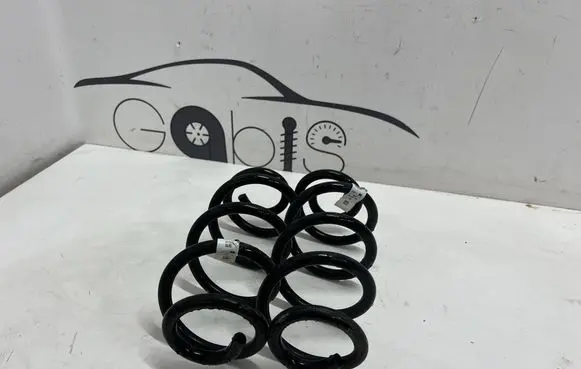 Rear coil spring