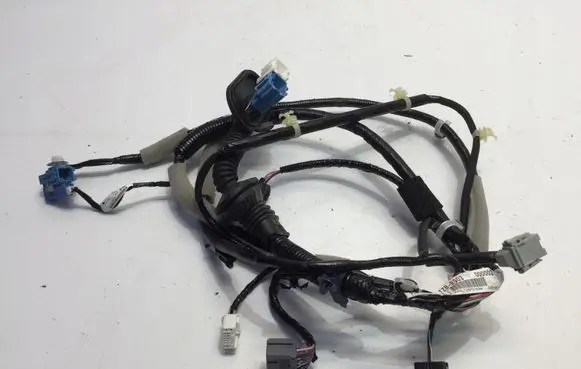 Front door wiring loom