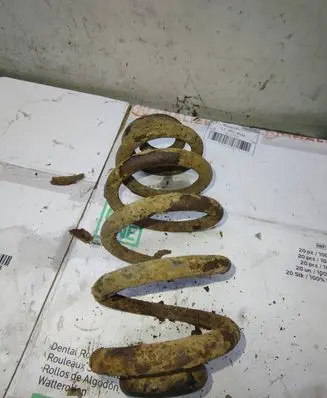 Audi A4 S4 B6 8E 8H Rear coil spring