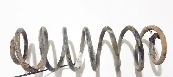 Rear coil spring