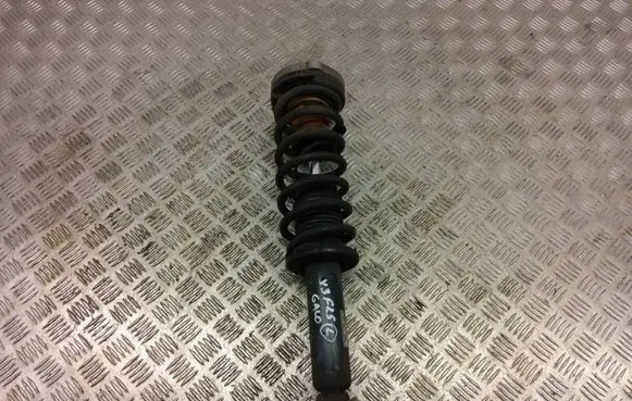 BMW X3 F25 Rear shock absorber with coil spring 6796317