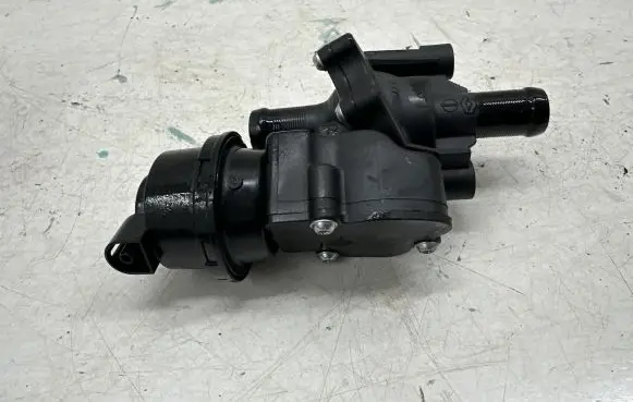 Vacuum valve