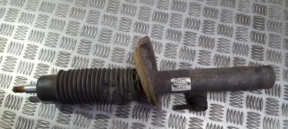 Peugeot 206 Front shock absorber/damper