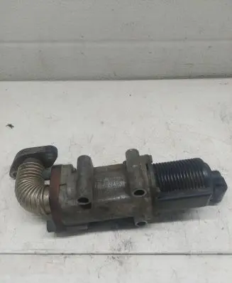 Opel Signum EGR valve 50024005 08T231
