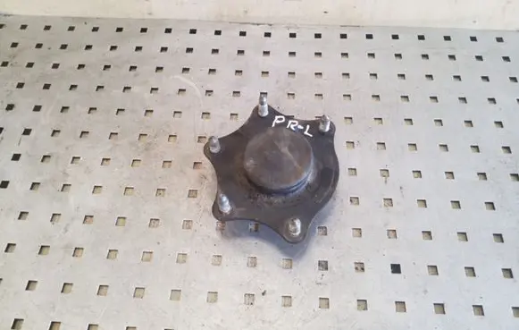 Coil spring mount