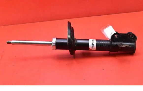 Opel Vectra C Front shock absorber/damper AGX091MT