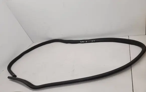 Ford Focus Front door rubber seal 