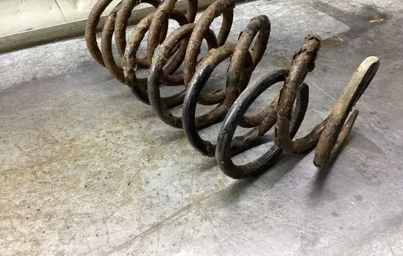 Rear coil spring