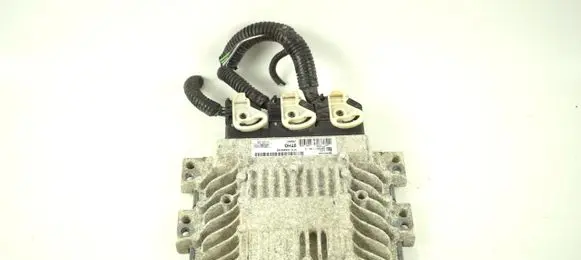 Engine control unit/module ECU