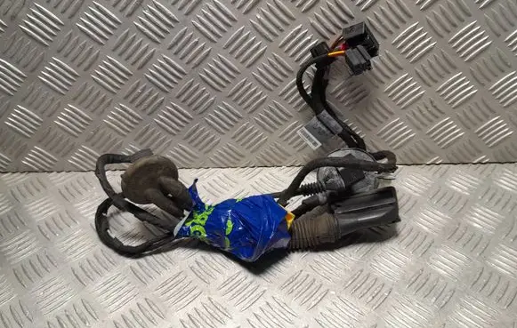 Audi A5 Sportback 8TA Front door wiring loom 8T8971029AP TAB010766SP