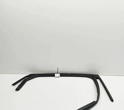 Ford Mustang Mach-E Rear door glass trim molding LJ8BR25824AE