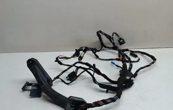 Front door wiring loom