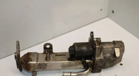 EGR valve cooler