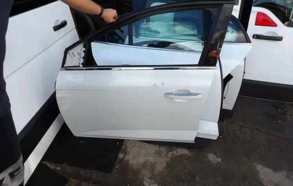 Renault Megane IV Front door