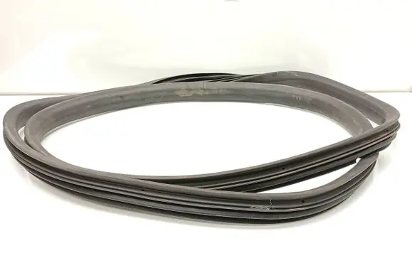 Renault Zoe Rubber seal rear door 
