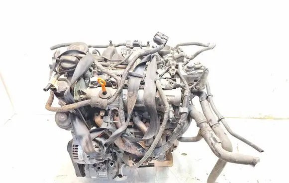 Volkswagen Golf V Engine BLF