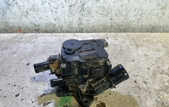 Thermostat/thermostat housing