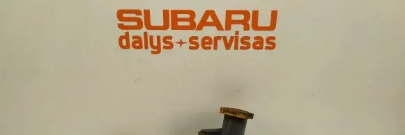 Subaru Forester SF Clutch master cylinder