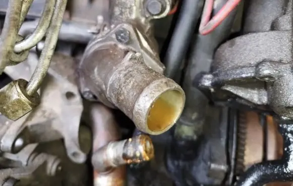 Ford Focus Engine coolant pipe/hose