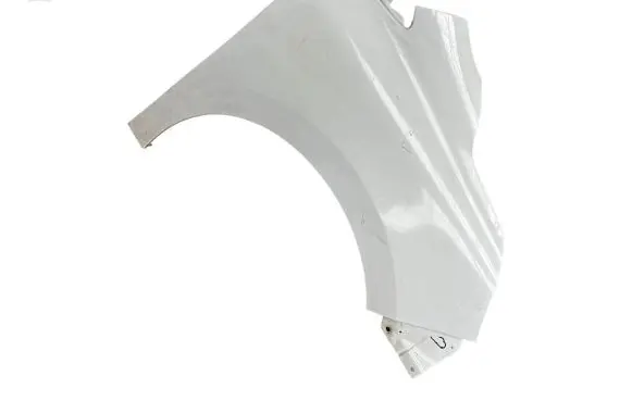 Renault Kangoo II Fender 625604938R