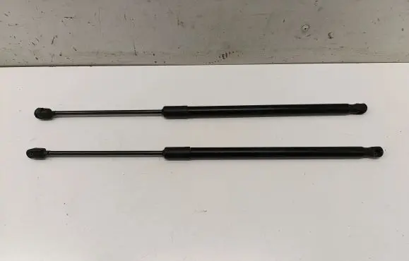 Tailgate/trunk strut/damper