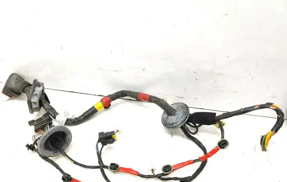 Hyundai Sonata Front door wiring loom 916003K132