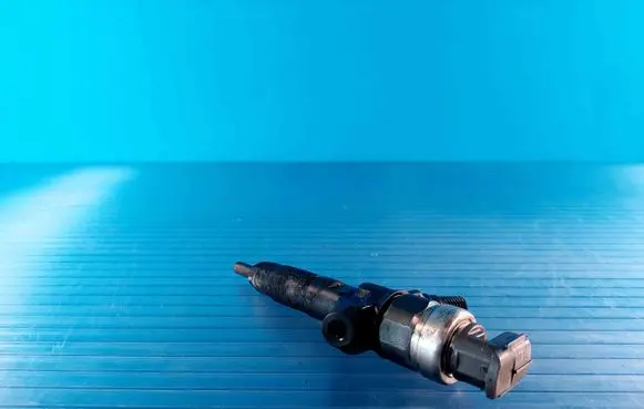 Subaru Forester SH Fuel injector 16613AA020