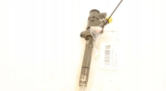 Citroen C4 I Picasso Fuel injector 0445110297
