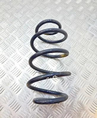 Rear coil spring