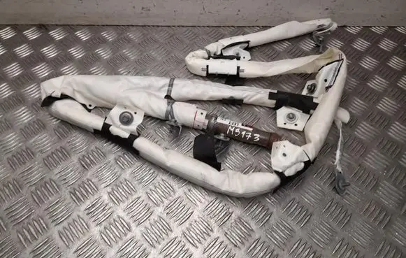 Tesla Model 3 Roof airbag 1077827CNE