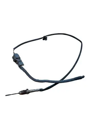 Nissan X-Trail T31 Exhaust gas temperature sensor 22630JG70A