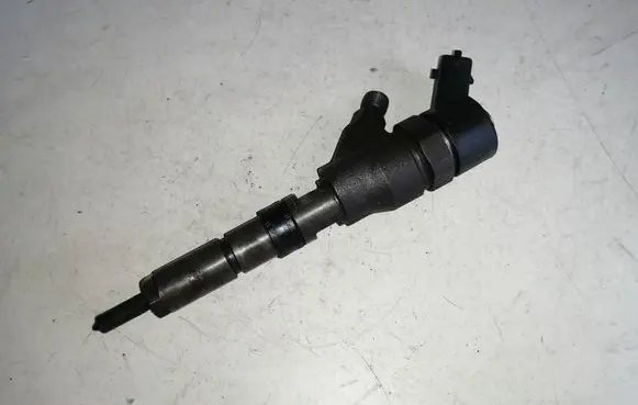 Citroen C5 Fuel injector 0445110008 9635196580