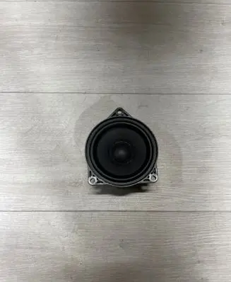 Tesla Model 3 Panel speaker 107974200B