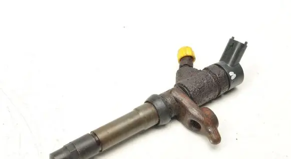 Fiat Ducato Fuel injector 0445110273