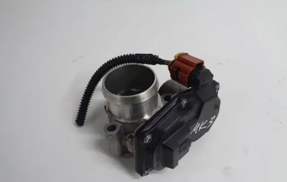 Throttle body valve
