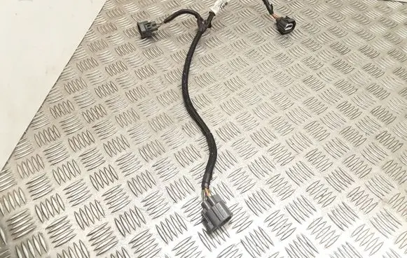 Ford Focus Other wiring loom F1ET8C290AAC