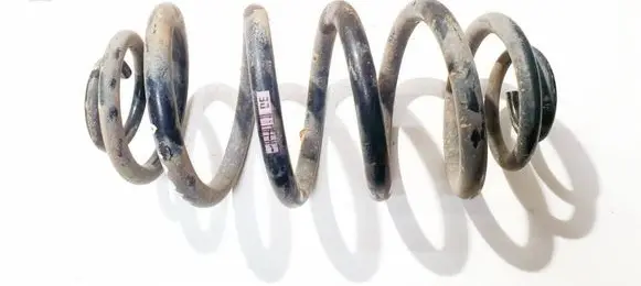 Rear coil spring
