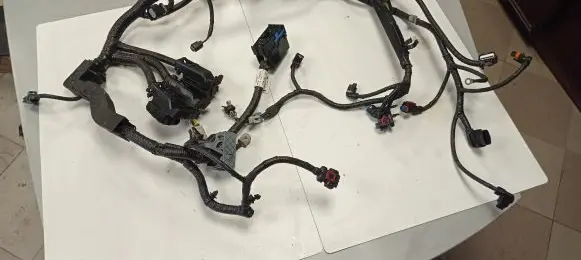 Engine installation wiring loom