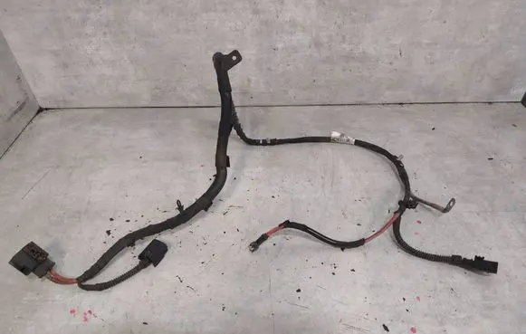 Volkswagen PASSAT B7 Other wiring loom 3C1971111AC