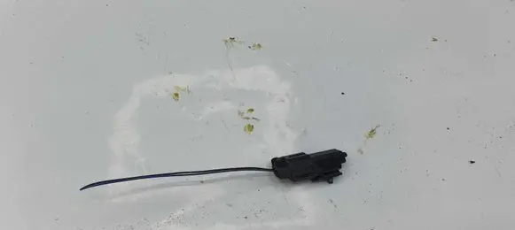 Nissan X-Trail T30 Other devices NOCODE
