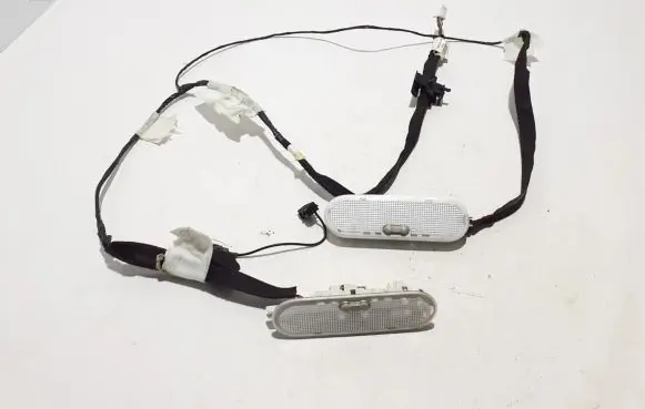 Dacia Dokker Other wiring loom 241603733R