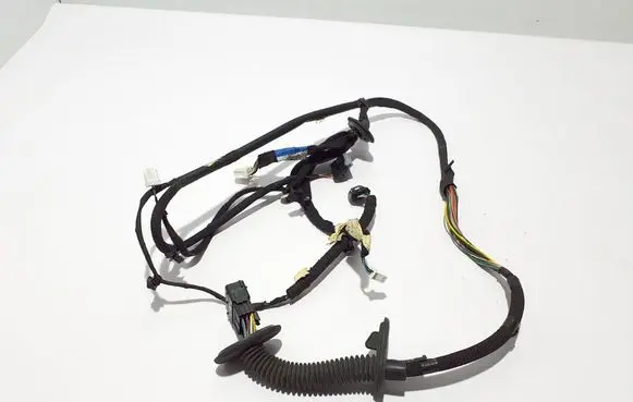 Other wiring loom