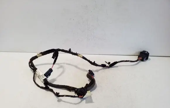 Rear door wiring loom