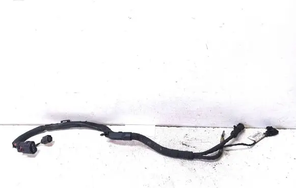 Audi A4 S4 B9 Other wiring loom 8W0971824E