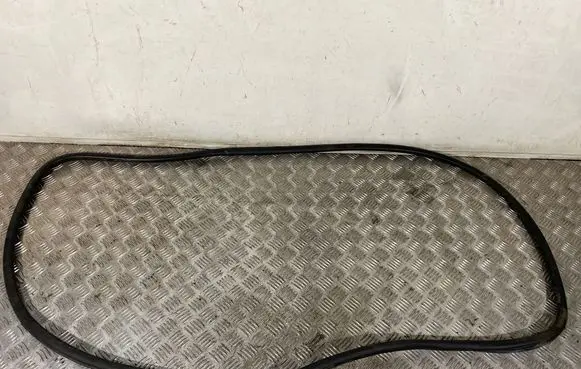 Volkswagen Touareg I Front door rubber seal 
