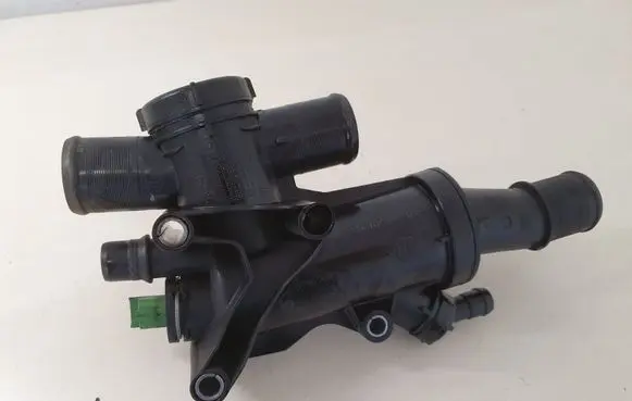 Thermostat/thermostat housing
