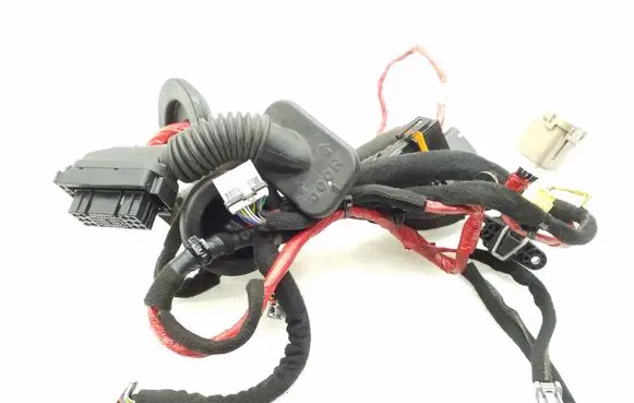 Front door wiring loom