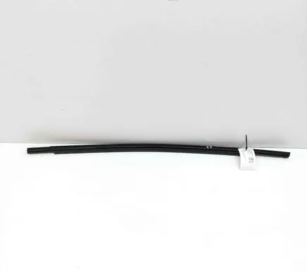 Ford Mustang Mach-E Rear door glass trim molding LJ8BR25604AC