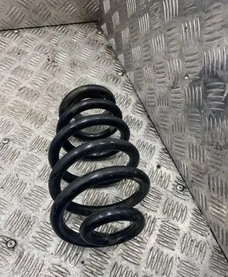 Rear coil spring