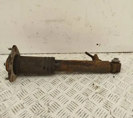 BMW X5 E70 Rear shock absorber/damper 6782878